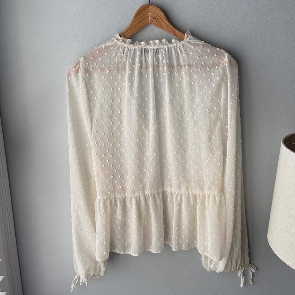 Zara Swiss Dot Sheer Button Down Blouse - Picture 10 of 11